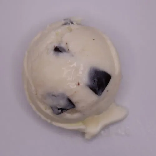 Chocolate Chip Ice Cream