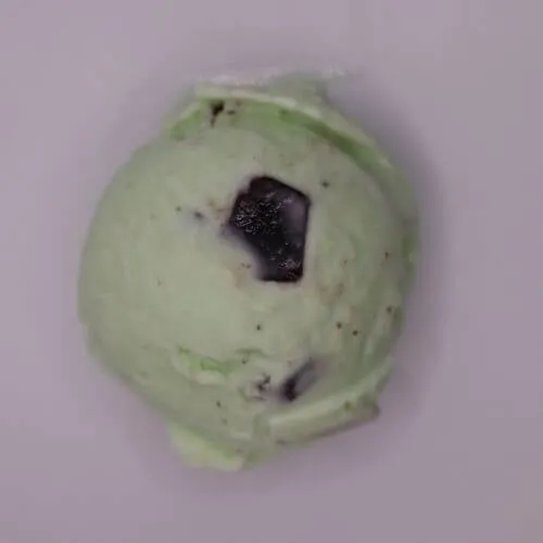 Mint Chocolate Chip Ice Cream